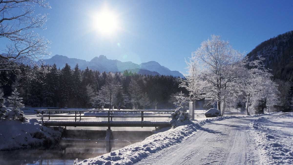 Wildpark im Winter