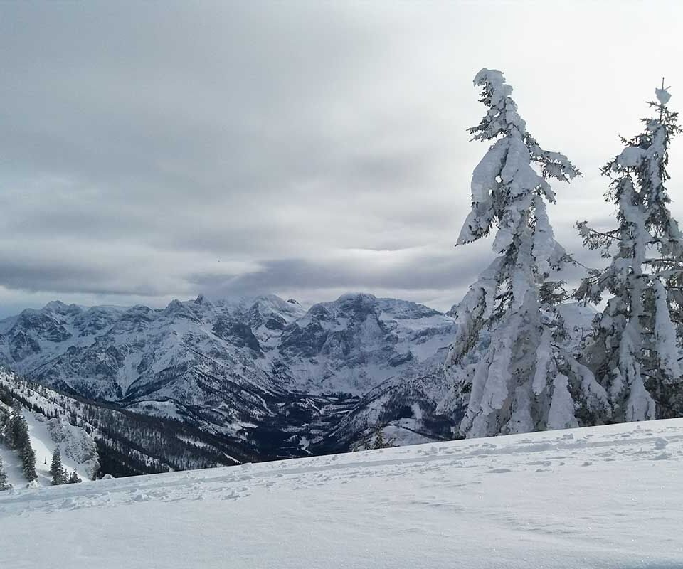 Winterlandschaft